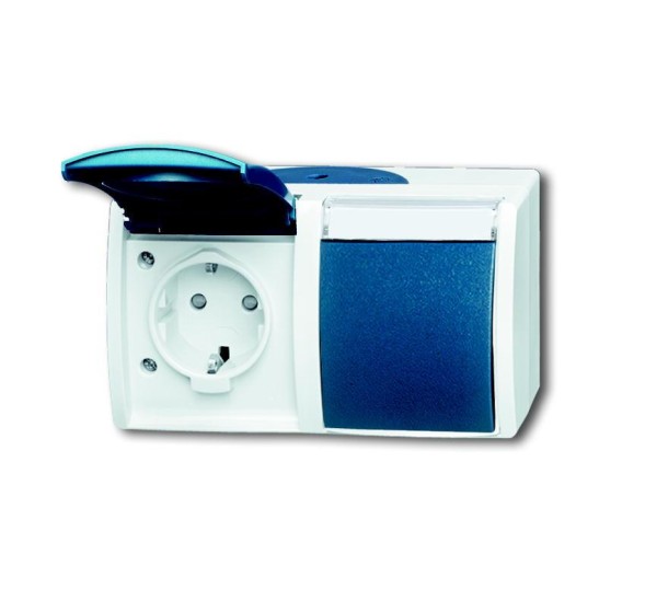 Розетка Busch-Jaeger 20/2 EBW-53 SCHUKO®, с повышенной защитой контактов серая/сине-зеленая