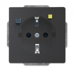 Busch-Jaeger 2CKA003116A0667 3120 EUCB-81 вставка розетки антрацит
