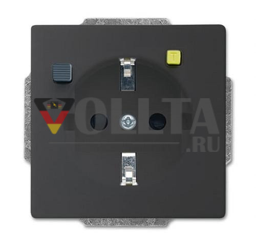 Busch-Jaeger 2CKA003116A0667 3120 EUCB-81 вставка розетки антрацит