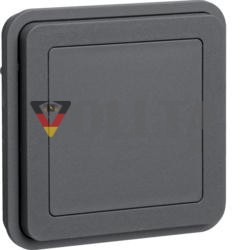 Berker 42903505 Вставка глухой крышки Berker W.1 серый матовый