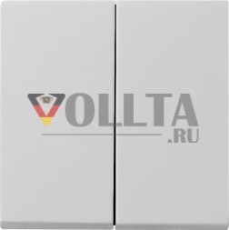 Gira 0295015 2f Sys 55 серая качалка