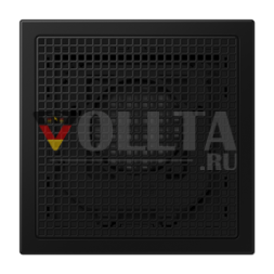 Модуль громкоговорителя Jung LSMLS4SWM, серия LS, графитово-черный матовый