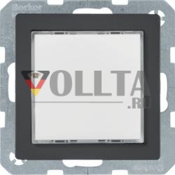 Berker 29516086 СВЕТОДИОДНЫЙ СВЕТИЛЬНИК RGB M OF Z-RA QX ANTH VELVET