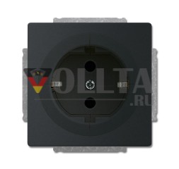 Busch-Jaeger 20 EUAB-885 Busch-Objektsteckdose®, с повышенной защитой от контактов, матово-черный