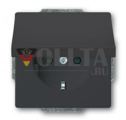 Вставка для розетки Busch-Jaeger 20 EUKBR-81 SCHUKO®, с откидной крышкой, антрацит