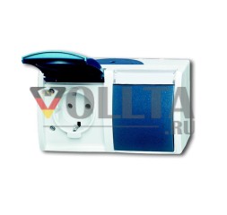 Busch-Jaeger 20/2 EWN-53 SCHUKO® розетка, 2-х контактная серая/сине-зеленая