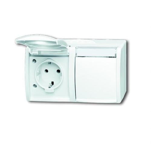 Розетка Busch-Jaeger 20/2 EWN-54 SCHUKO®, 2-контактная, альпийский белый
