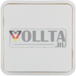 Berker 30763542 клавиша 1f. f. W.1 кнопка-BA,BSF,pw