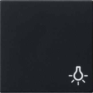 Gira 0285005 система освещения с символом 55 черная клавиша