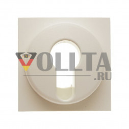 Berker 15078982 S1 панель переключателя с замком/Schlusseltaster крышка, цвет: кремово-белый, тон:глянец