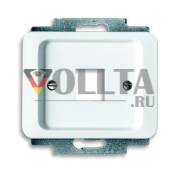 Центральная пластина Busch-Jaeger 2561-24G с опорным кольцом, студийно-белый глянцевый