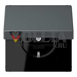 Розетка SCHUKO Jung LC1520BFKL202, 16 А, 250 В ~, откидная крышка, серия LS, серый фон 31 (LC32010)