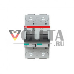 ABB Stotz-Kontakt 2CCG001230R0001 S802P-C100 100A C-Char.2P автоматический выключатель для тяжелых условий эксплуатации
