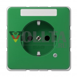 Jung CD520NAKOGN CD500 SCHUKO-розетка 16А, цвет: зеленый,