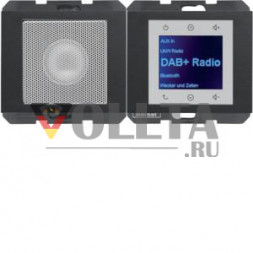 Berker 30807006 LSP DAB+ BT Kx матовый Радио Сенсорный