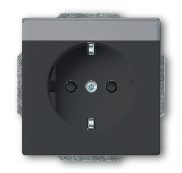 Busch-Jaeger 20 EUCNB-81 Розетка SCHUKO®, с полем для этикетки антрацитового цвета