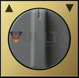 Gira 0666604 System55 Переключатель для жалюзи, крышка, латунь