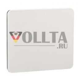 Schneider Electric 13138 пластина