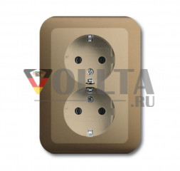 Busch-Jaeger 20-02EUJ-21    Alpha SCHUKO-Двойная розетка, цвет:бронза