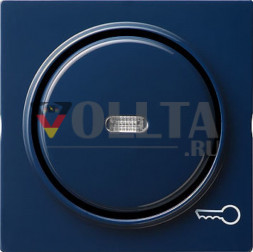 Gira 028746 S-Color крышка, освещаемая, c символом  дверь цвет: голубой, тон:глянец