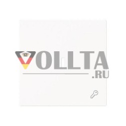 Busch-Jaeger 2CKA001751A3378 1789 TR-44M с символьной клавишей с прозрачной крышкой