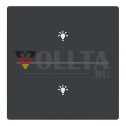 Busch-Jaeger 2CKA006199A0215 LFBT/A.2.63.11-81 кнопка 2-fmSymb.Light крышка