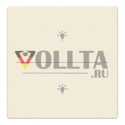 Busch-Jaeger 2CKA006199A0216 LFBT/A.2.63.11-82 кнопка 2-fmSymb.Light крышка