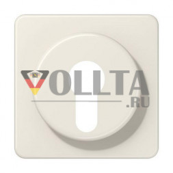 Крышка Jung 528 для выключателя с защитой от демонтажа, термопластик, серия CD, белая