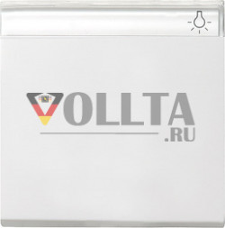 Gira 029927 System55 выключатель света/датчик крышка, цвет:чисто белый, тон: матовый