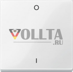 Schneider серия: Merten 432219 System M выключатель крышка, цвет:полярная белизна, тон:глянец