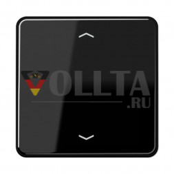 Jung CD5232MSSW CD500 с функцией памяти крышка, цвет: черный