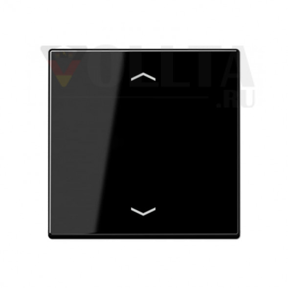 Jung A5232FSSW A500  Радиоприемник крышка, цвет: черный
