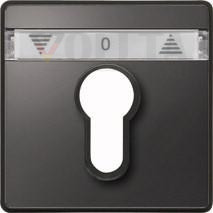 MERTEN 348214 центральная пластина антрацит AQUADESIGN