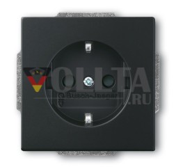 Busch-Jaeger 20 EUCRB-885 Вставка для розетки SCHUKO® без расширителя, с повышенной защитой от прикосновений, матово-черная