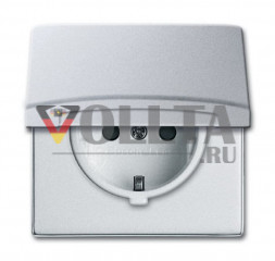 Busch-Jaeger 20EUGKB-33-101 серия:Allwetter44  SCHUKO розетка  16А,    IP44защита от детей цвет:алюминевый