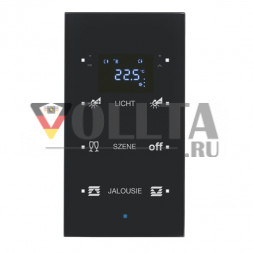 Berker 75643135 Стеклянный датчик 3-ходовой с регулятором температуры, стекло, черный Berker TS Sensor