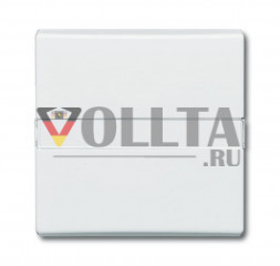 Busch-Jaeger 2106N-34 серия:Allwetter44 выключатель света/датчик крышка, цвет: альпийский белый
