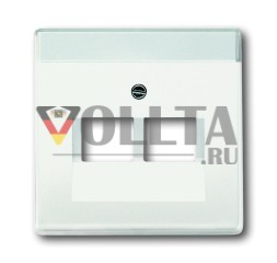 Busch-Jaeger 1803-02-884 Центральная пластина, 2-х полосная, студийная, белая, матовая