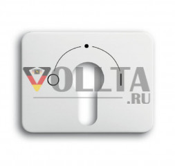 Busch-Jaeger 1755SLPZ-24G-101    Alpha панель переключателя с замком крышка, цвет: алебастр