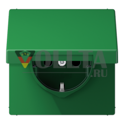 Розетка SCHUKO Jung LS1520BFKLGN, 16 А, 250 В ~, откидная крышка, термопластик, серия LS, зеленая (для SV)
