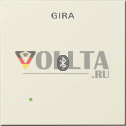 Gira 228801 System55 Заглушка,  для вставки док-станции, цвет: кремово-белый, тон:глянец