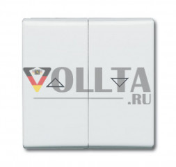 Busch-Jaeger 2126-32 серия:Allwetter44  переключатель  для жалюзи/кнопка клавиша крышка, цвет: кремово-белый