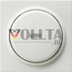 Gira 012240 кнопочный выключатель 2-полюсный управление S-Color чистый белый