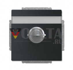Busch-Jaeger 20 EUKNBSL-885 Вставка для розетки SCHUKO®, с откидной крышкой и замком, матово-черная