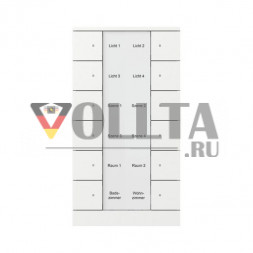 Busch-Jaeger 2CKA006330A0075 SB/U12.0.11-884 12f. студийный белый матовый элемент управления