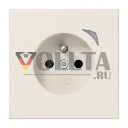 Розетка французская Jung BTLS1521FSE HOME Energy