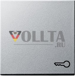 Gira 028726 клавишная система с символом 55 цвет алюминий