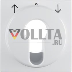 Berker 15088989 S.1 IP44 полярно-белый глянцевый центральный элемент