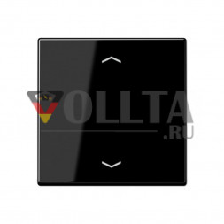 Jung A5232MSSW A500 с функцией памяти крышка, цвет: черный