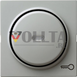 Gira 028742 S-Color крышка, освещаемая, c символом  дверь цвет:серый, тон:глянец